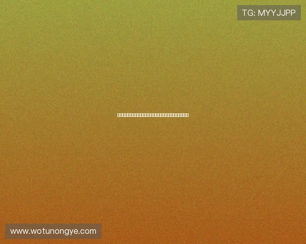 专访宝马董事长齐普策：探索以客户为中心的未来汽车创新战略