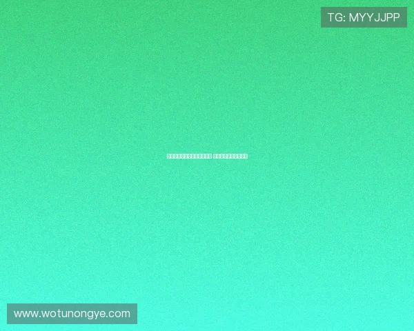 中网综合：辛纳展现强势实力 中国三金花喜迎开门红