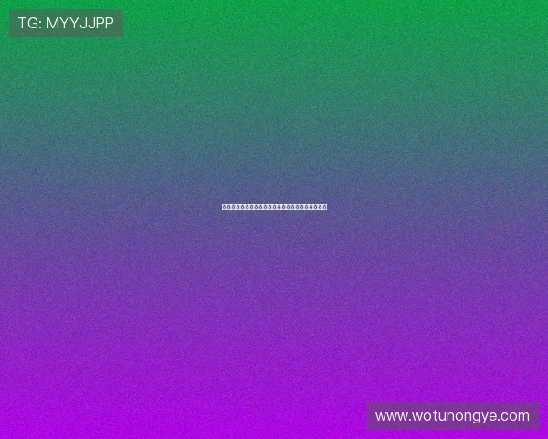 多国使节齐聚试驾天神之眼共话智能科技与未来出行