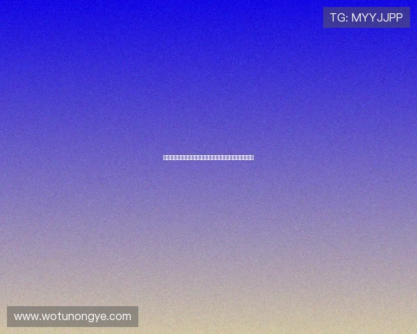 荷甲五队全败欧冠欧联仅剩欧协独苗待赛展现荷兰足球困境