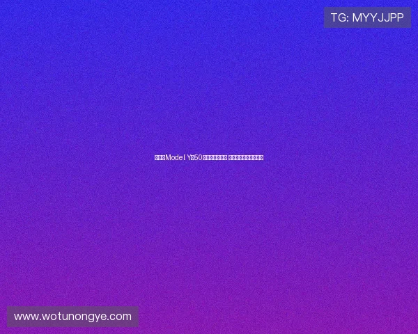 特斯拉Model Y以50万入驻印度市场 持续挑战本土竞争格局