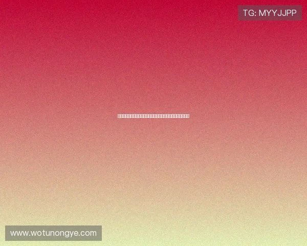 国庆中秋假期丰泽文旅热度飙升游客纷至沓来体验多元文化魅力