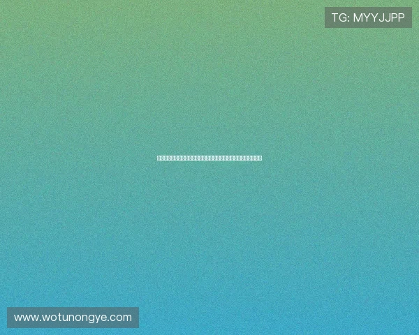 伊朗宣布货币改革计划将面值去掉四个零以稳定经济并增强社会信心