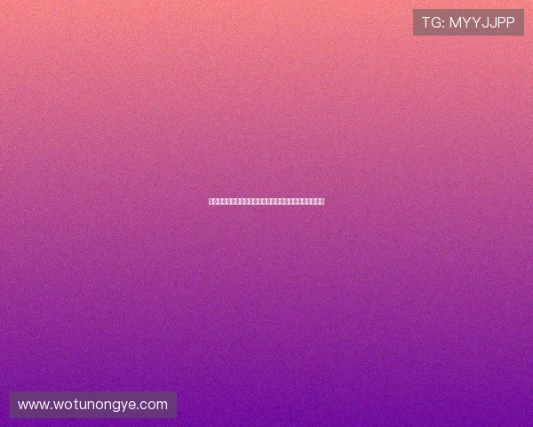 以不惑不忧不惧不悔为箴言照亮青年探索与奋斗的人生道路