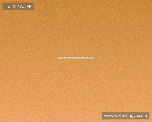 特朗普疑似险遭暗杀事件引关注 登机动作异常迅速引发外界热议