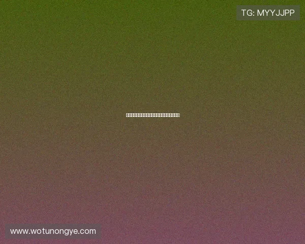 博创赛千人招聘专场诚邀各界英才共创未来机遇