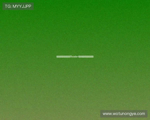 极限之地澳洲预选赛回顾Rooster奋勇突进晋级征程全解析记